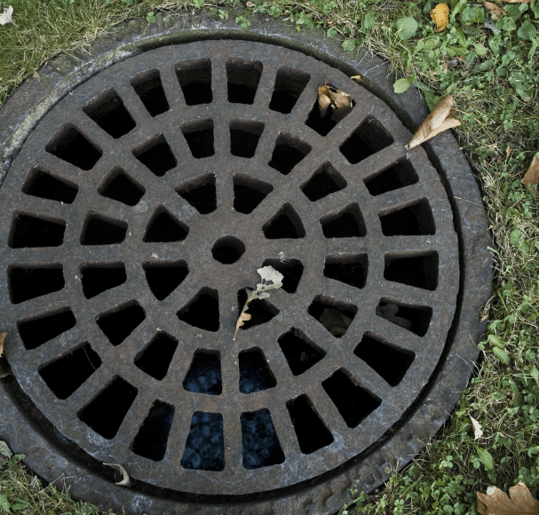 Service Image